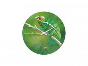 Часы настенные Nicole Time NT503 в Бердске - berdsk.mebel-nsk.ru | фото